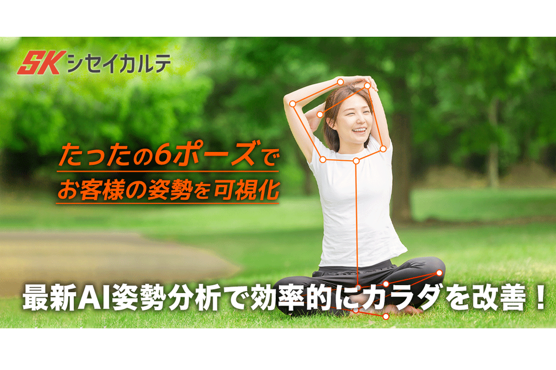 シセイカルテ