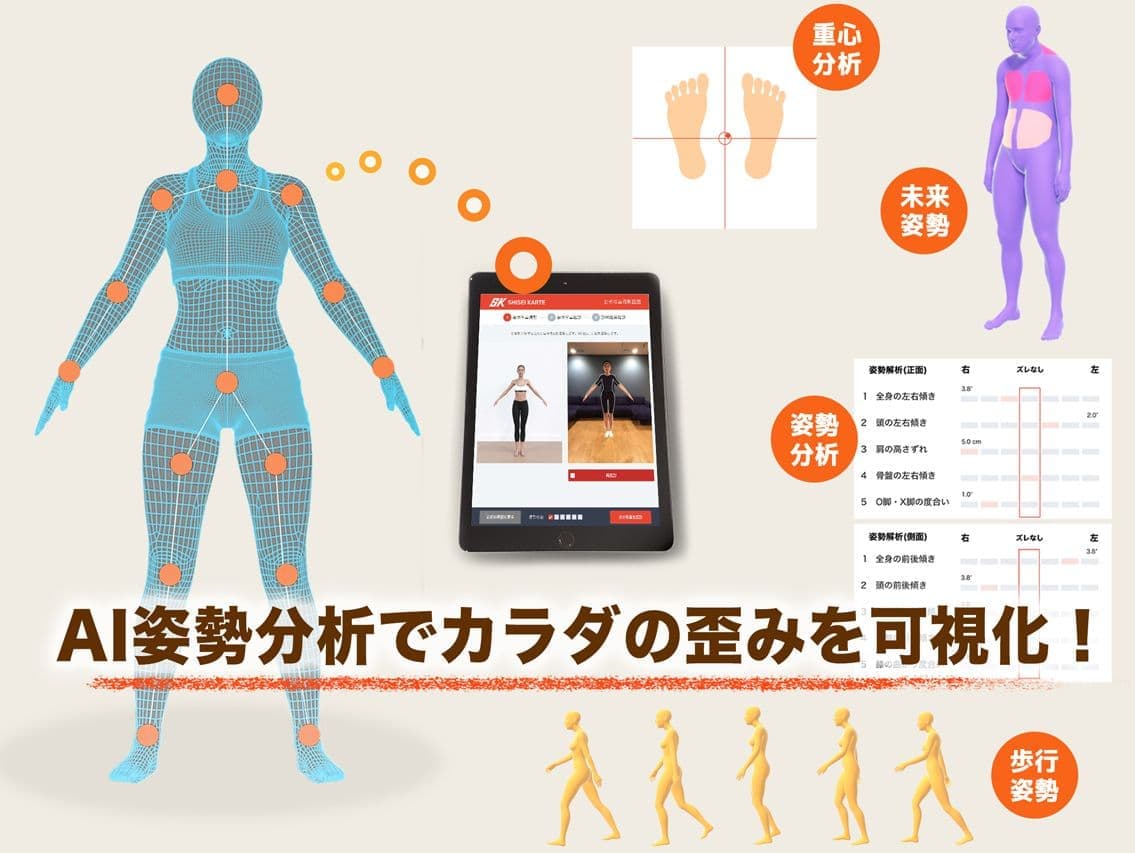 シセイカルテでわかること